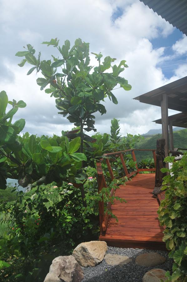 Mango Island Lodges Saint Joseph المظهر الخارجي الصورة