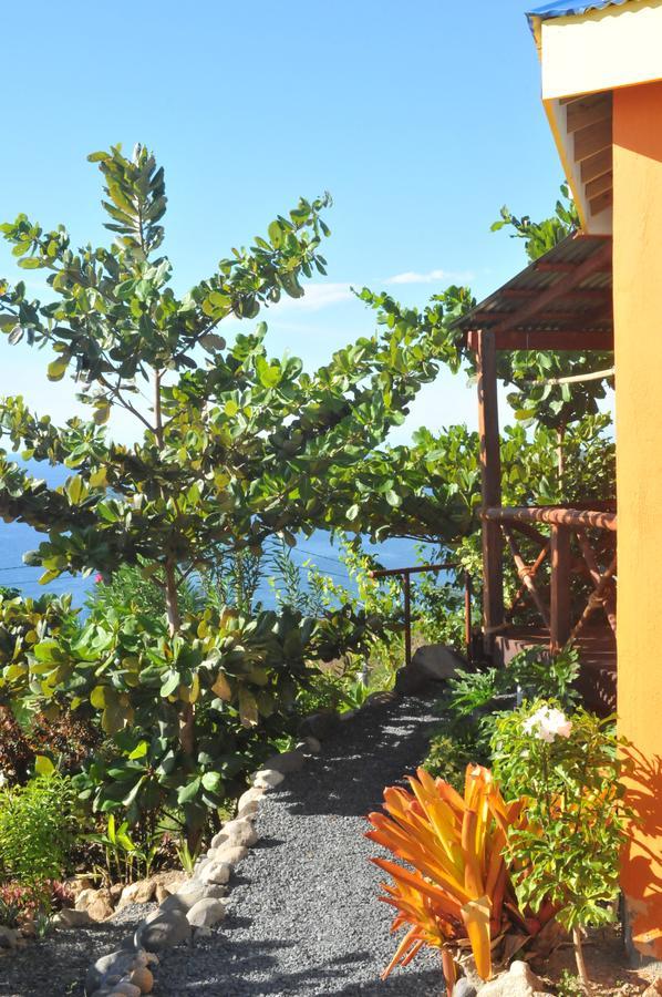 Mango Island Lodges Saint Joseph المظهر الخارجي الصورة