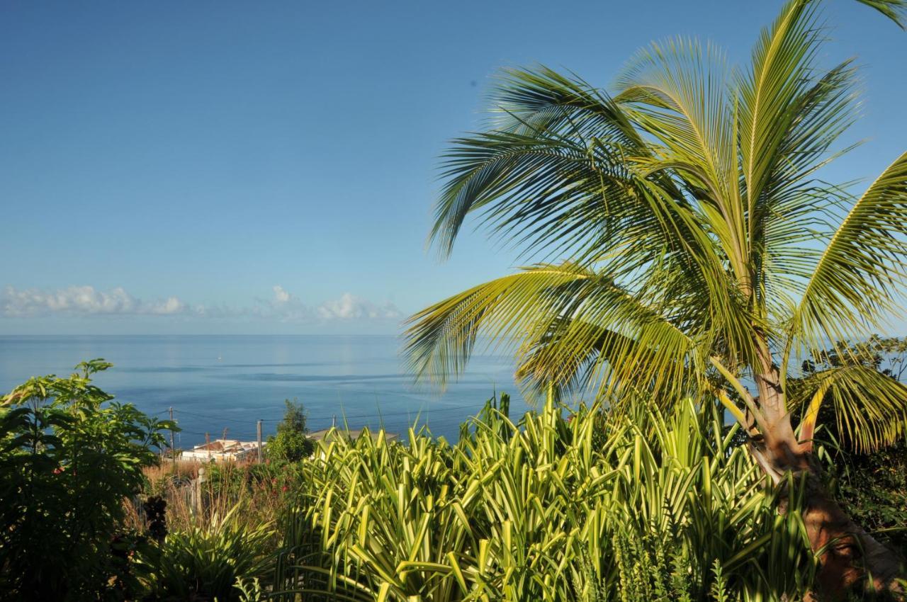 Mango Island Lodges Saint Joseph المظهر الخارجي الصورة
