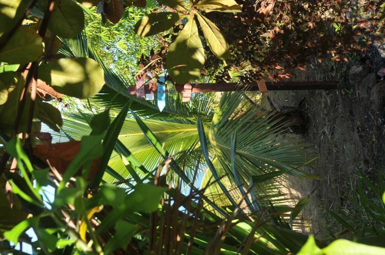Mango Island Lodges Saint Joseph المظهر الخارجي الصورة