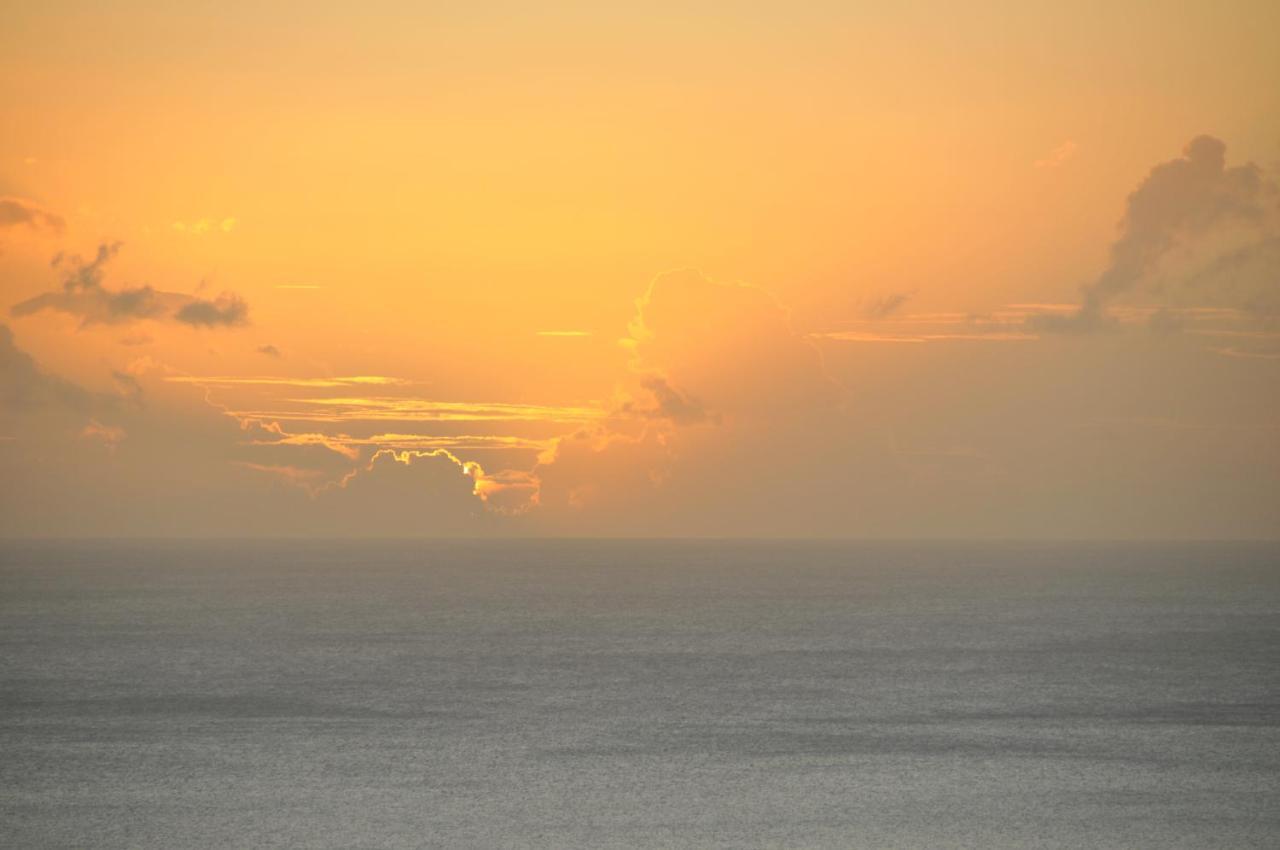 Mango Island Lodges Saint Joseph المظهر الخارجي الصورة